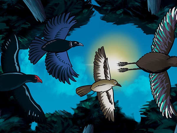Still from He Paki Taonga video. Te Papa an illustration of several birds flying at night.