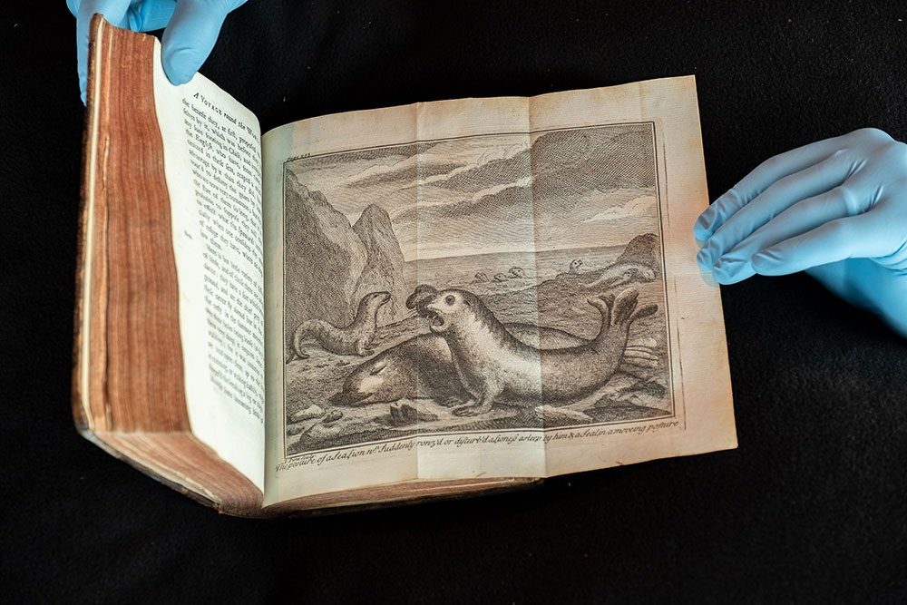 Gloved hands hold a book open on a page picturing a huge ugly seal