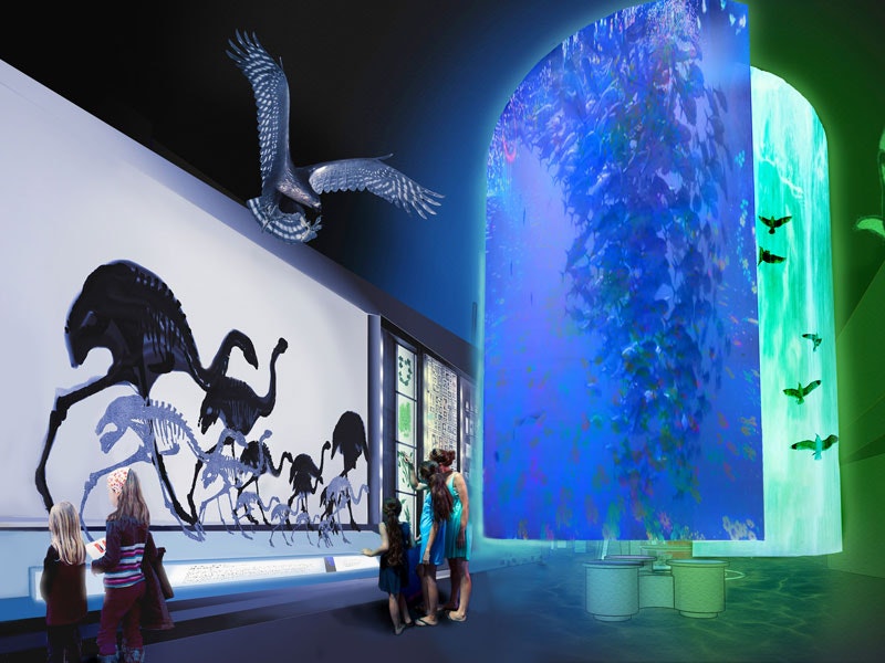 Artist’s impression of Te Papa’s new natural environment exhibition, 2017. Te Papa Artist’s impression of Te Papa’s new natural environment exhibition, 2017. Te Papa