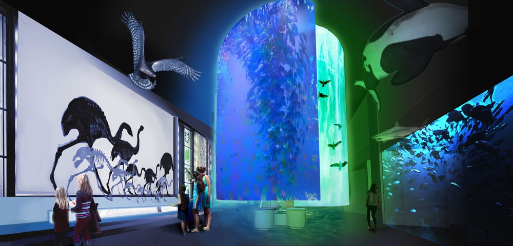 Artist’s impression of Te Papa’s new natural environment exhibition