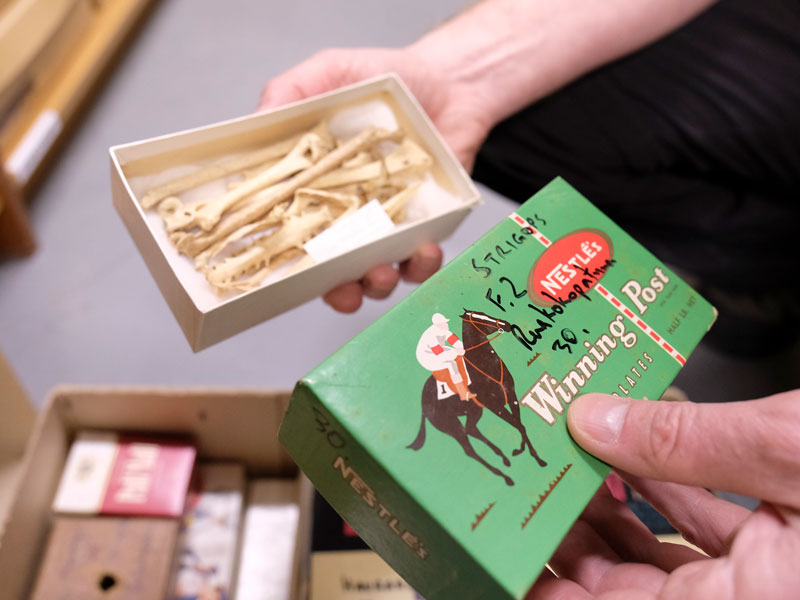 old-storage-boxes-bones-tepapa-800x600.jpg