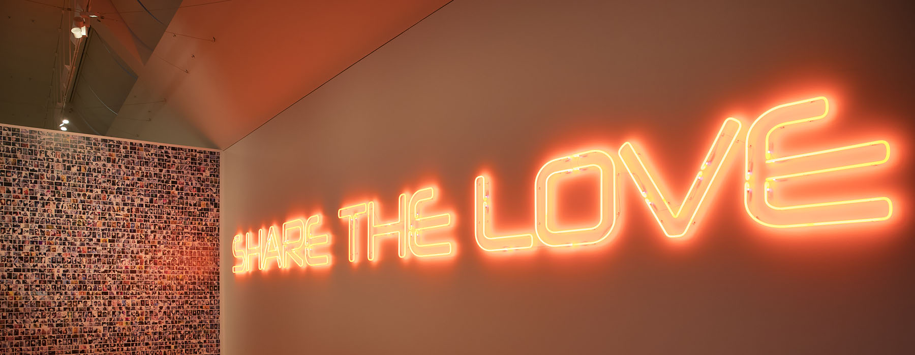 art-renew-holl-116-1800.jpg