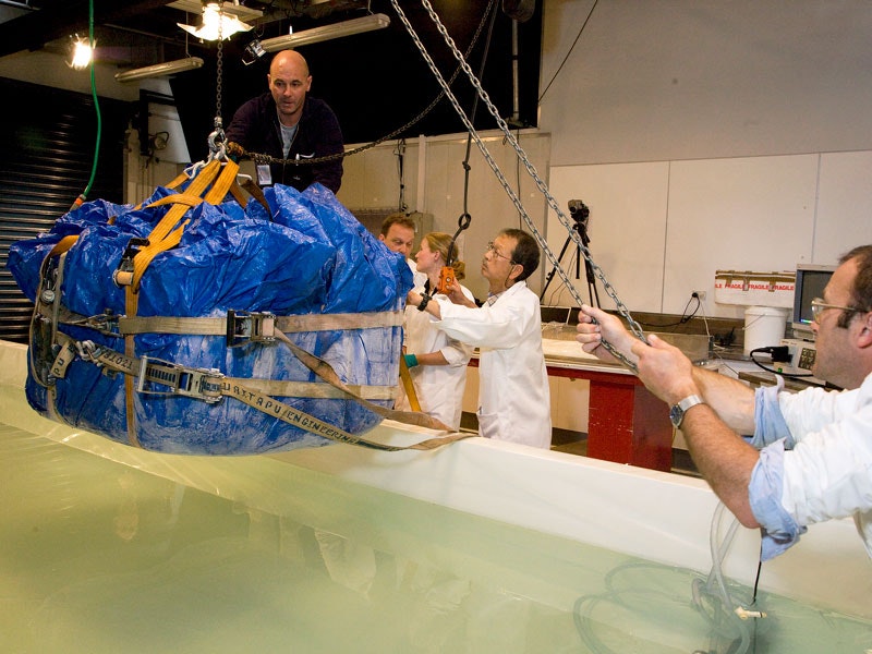 The squid in an iceblock is lowered into its thawing tank