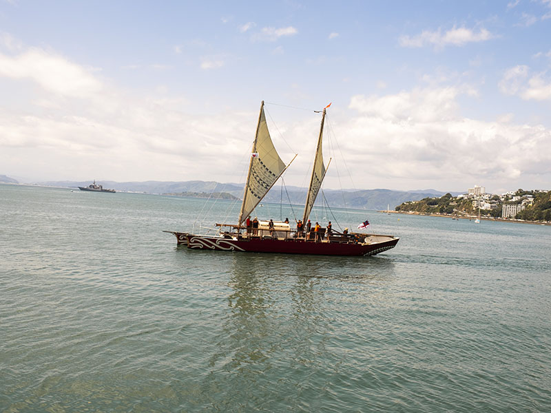 Waka sailing in a harbour on a sunny day