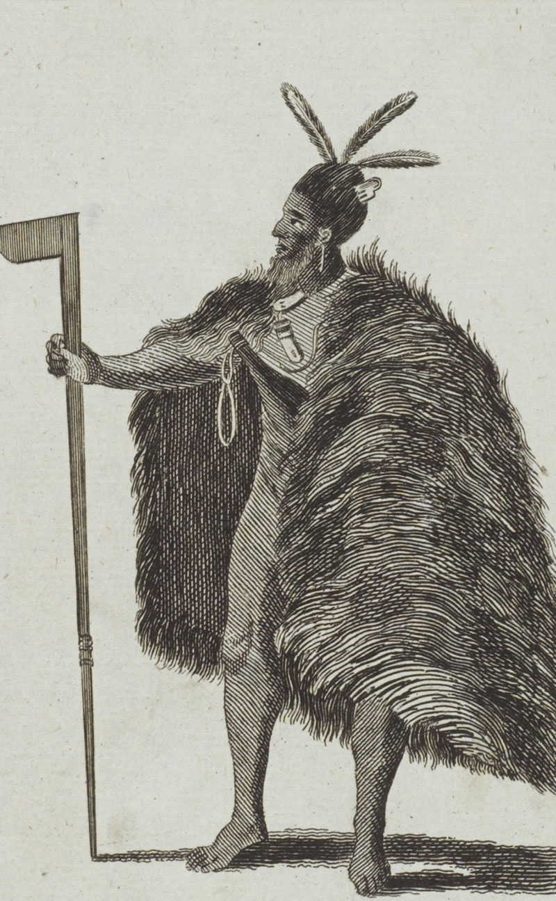 Drawing of a Māori warrior dressed for battle – he wears a cloak, an axe-shaped weapon, and has a mere in his belt