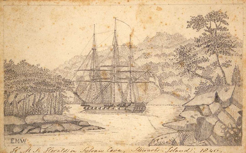 The Herald, moored in a bay surrounded by rocks and bush in Stewart Island