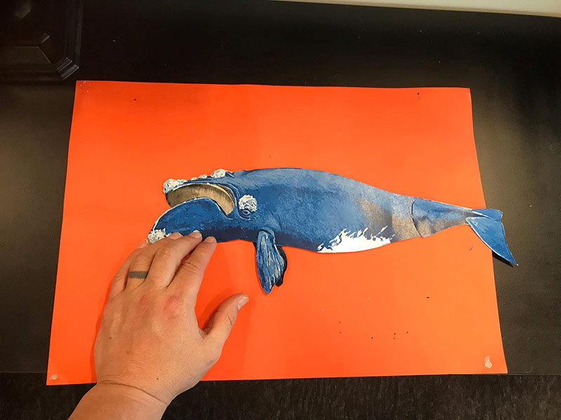 Hand holds up a cut out of a tohorā | southern right whale