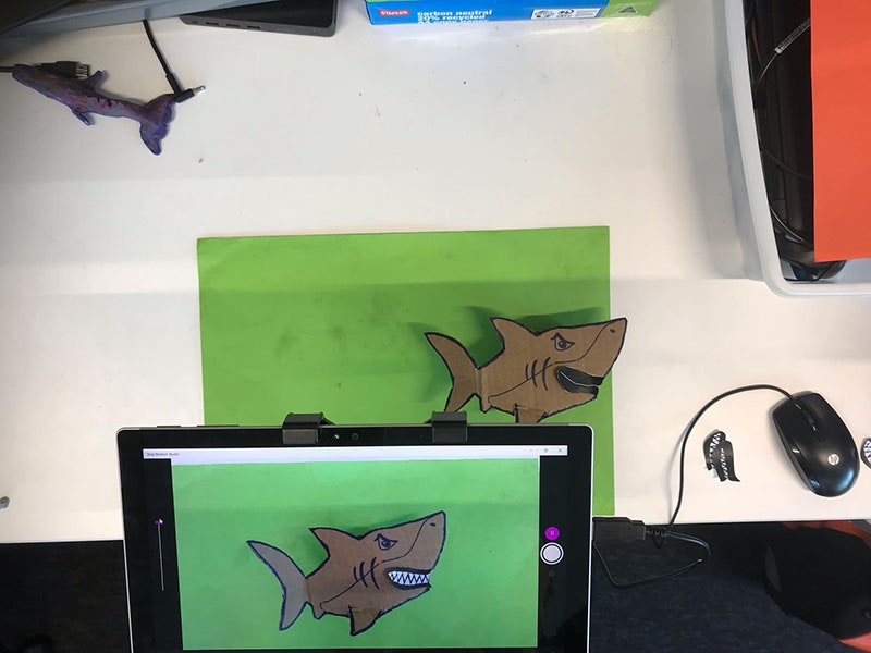 Cardboard cut-out of the ururoa | great white shark sits on a green sheet of paper, and is visible through the computer recording the scene