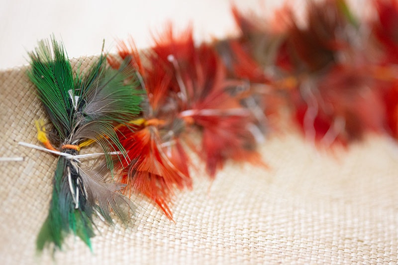 Closeup of colourful feathers on a mat