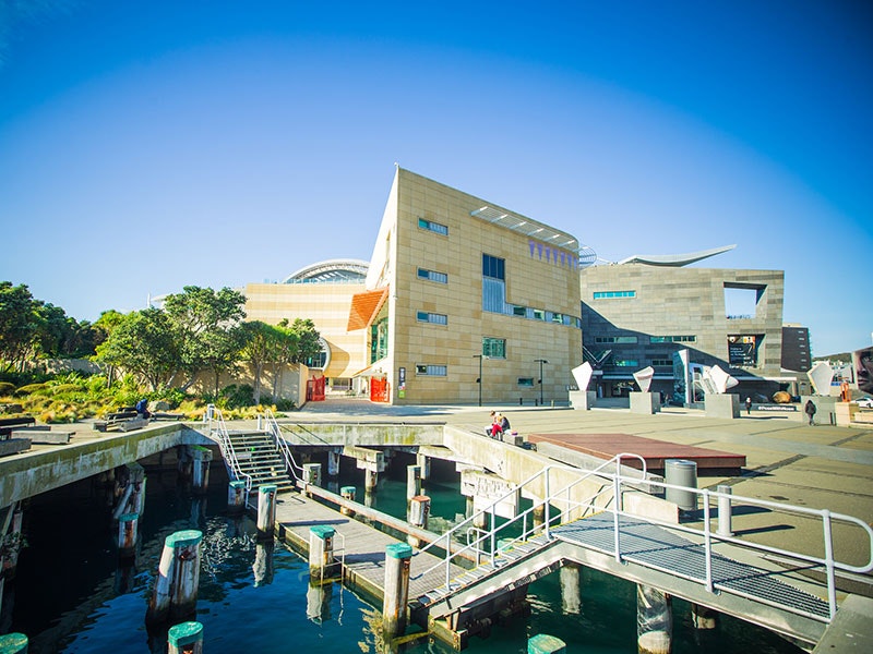 Te Papa, 2015. Te Papa View of Te Papa building from the side, on a sunny day, showing the green trees of Bush City behind it and people sitting in the marina in front