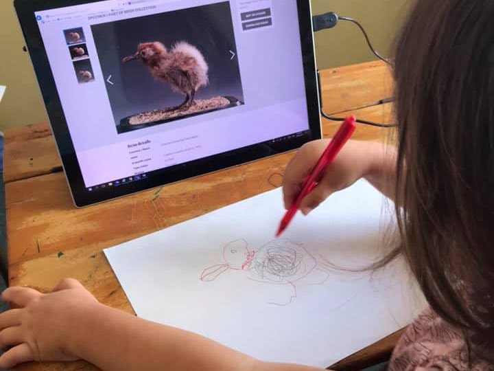 A small child draw a bird copied from a picture on a computer