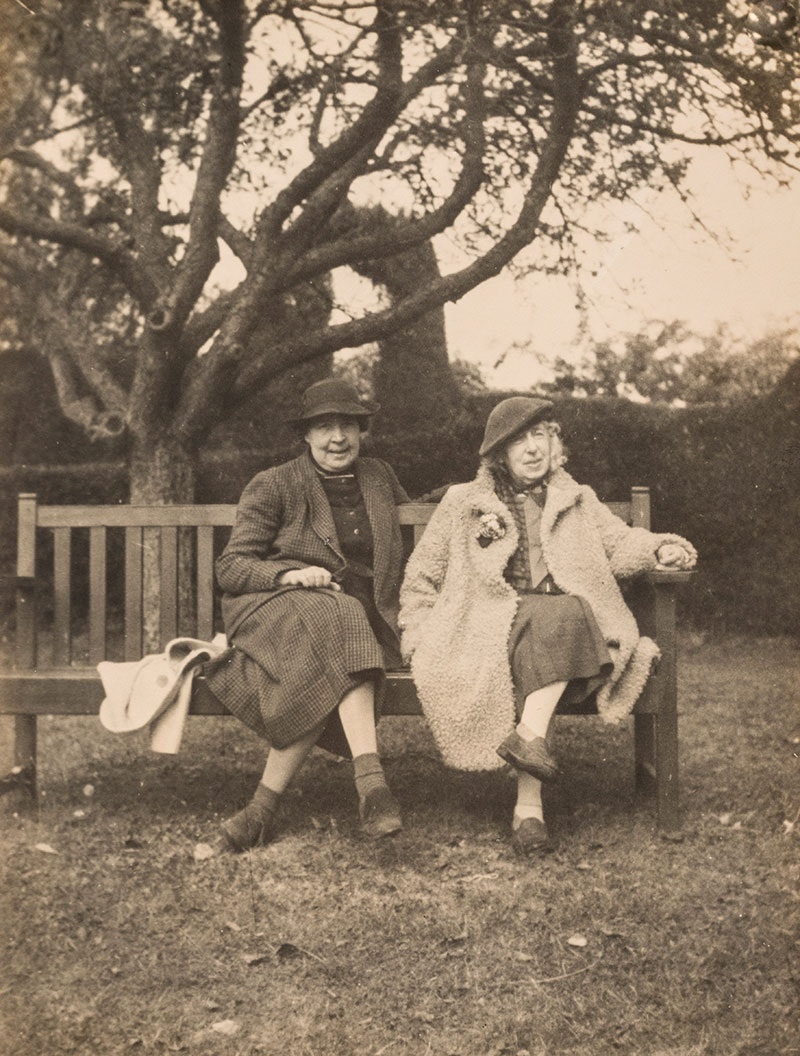 Two women sitting on a park bench under a tree