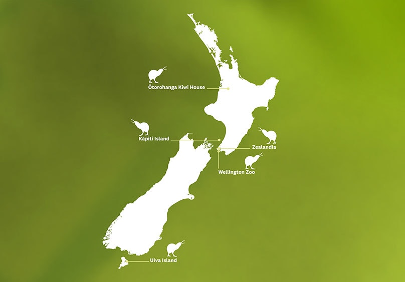 white map of New Zealand on a green background with lines pointing to parts of the map.