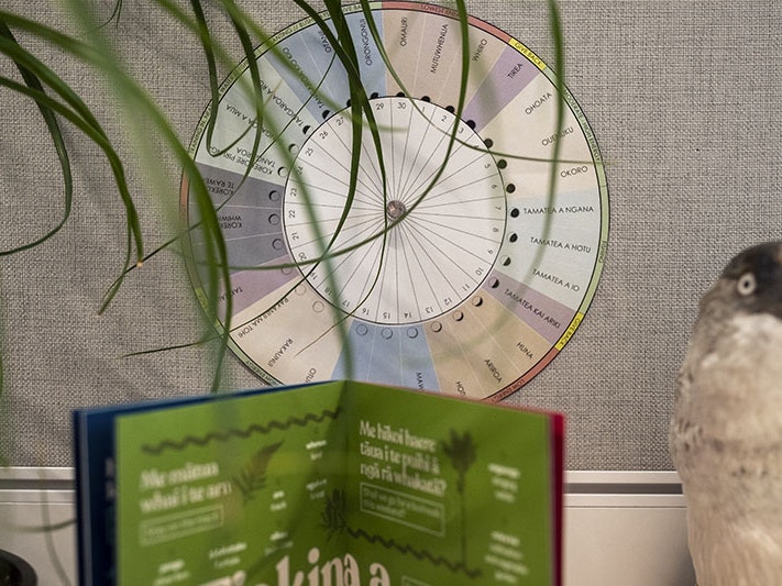 The Maramataka dial in action! Te Papa Maramataka dial is displayed on a wall. To the left, a plant hangs into the frame. To the right, a taxidermied penguin appears in the frame. Under the dial can be seen an open book