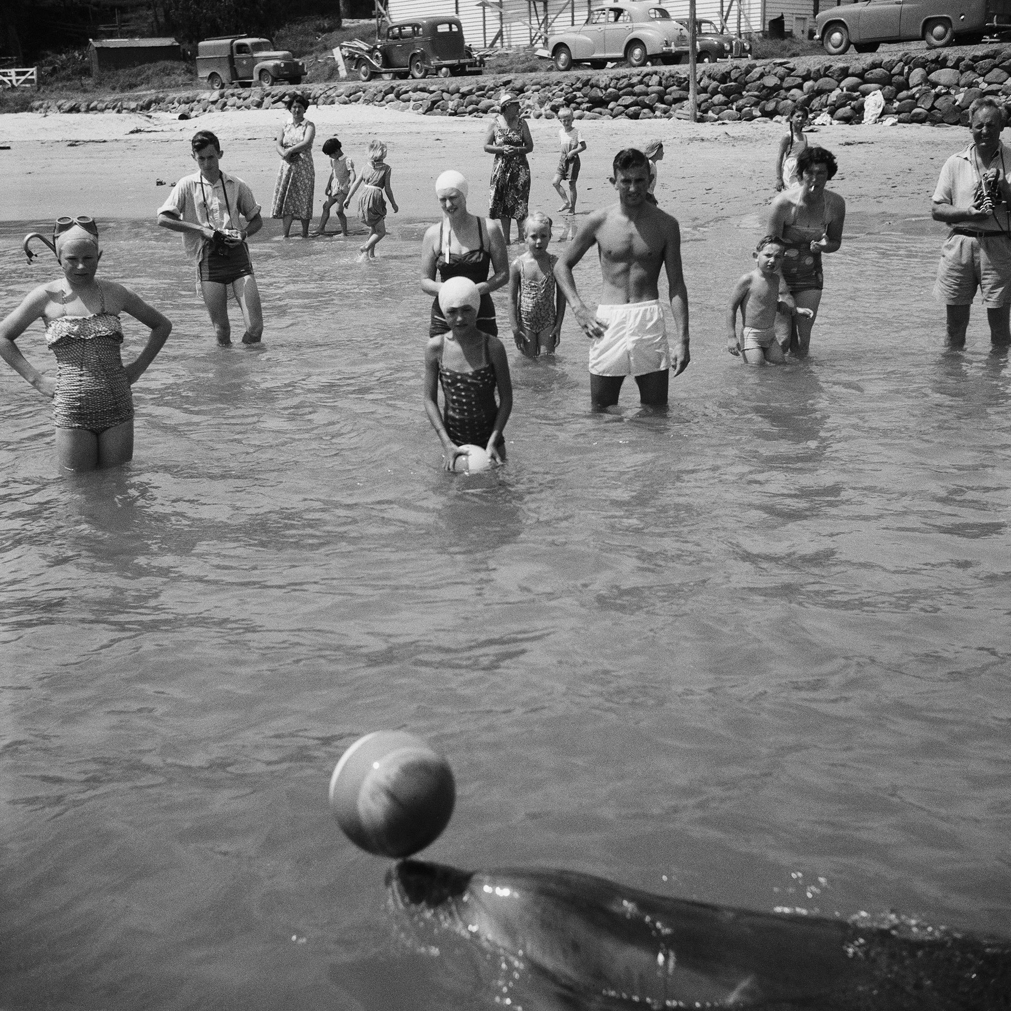 adults and children in the sea playing with a dolphin in the foreground