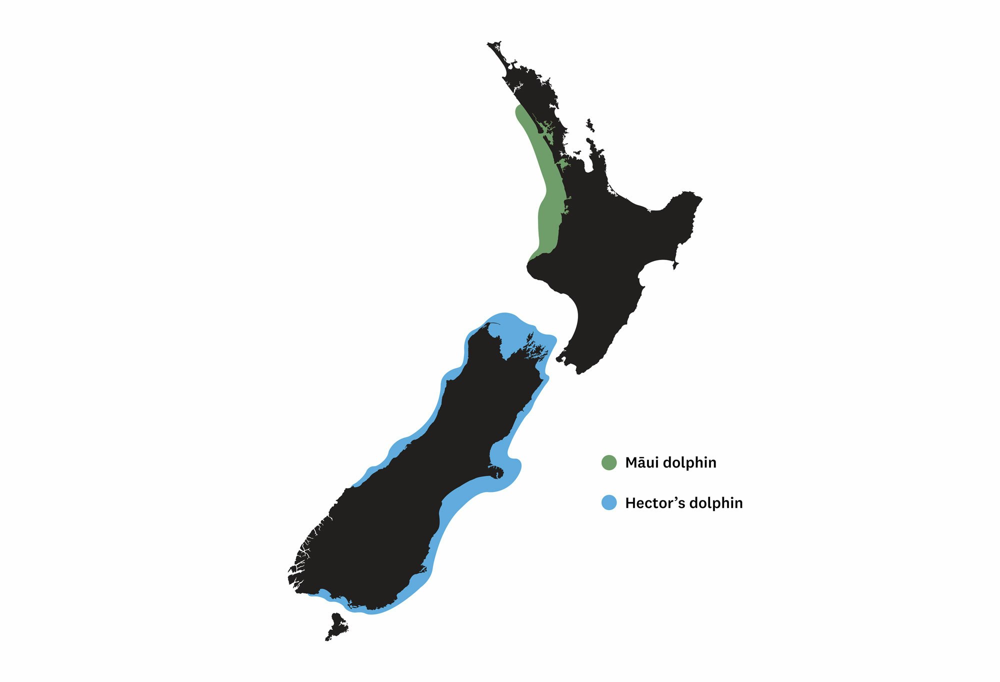 a drawing of New Zealand with green and blue outlines on each island