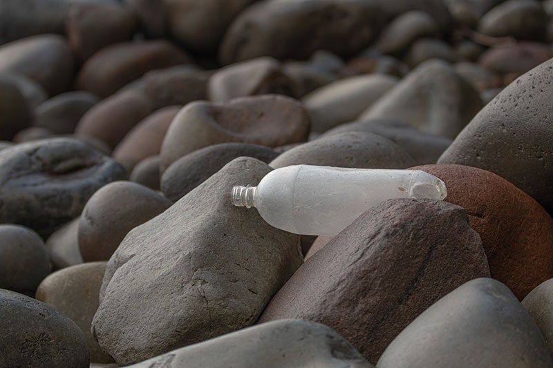 A plastic bottle sits among rocks
