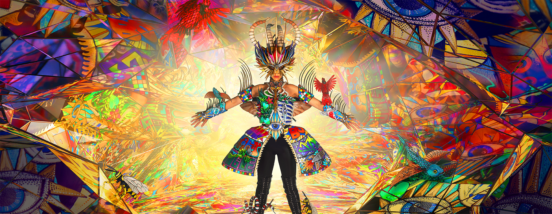 te_papa_website_1800x700px_b.png