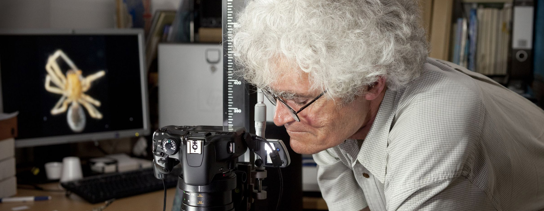 Researcher using a microscope