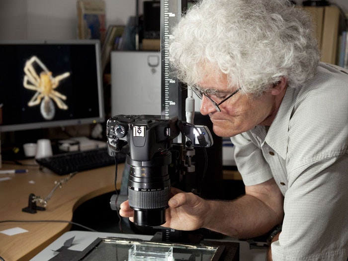Researcher Jean-Calude Stahl. Photograph by Kate Whitley. Te Papa Researcher using a microscope