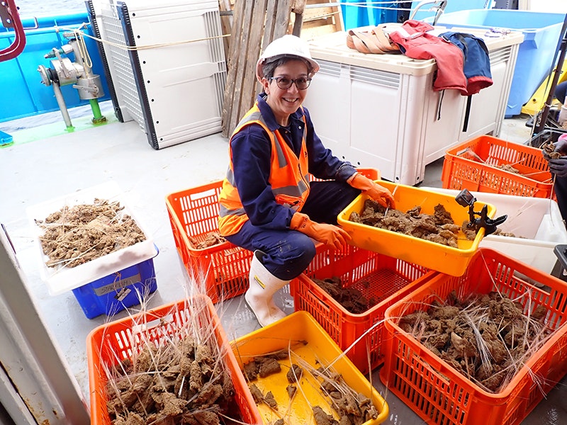 A woman is kneeling on the ground surrounded by buckets of marine specimens.