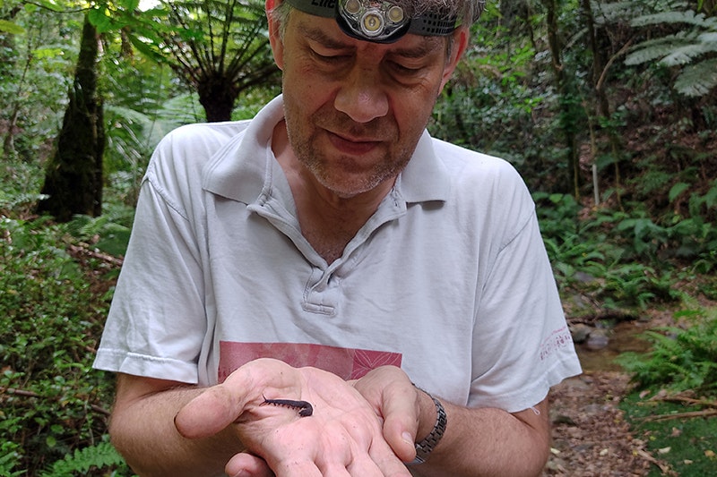 A close-up view of a man holding a small worm in his hands. He has a torch strapped to his forehead.
