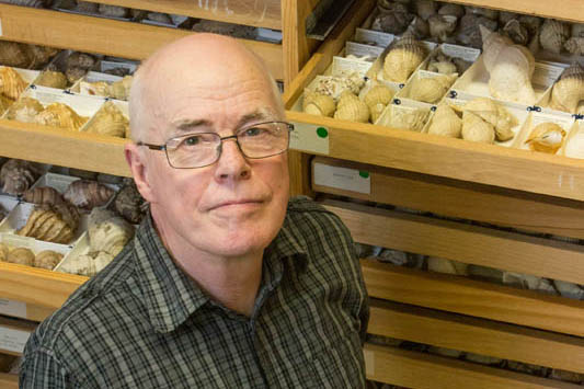 A head and shoulders photo of a man standing in front of trays of mollusc shells