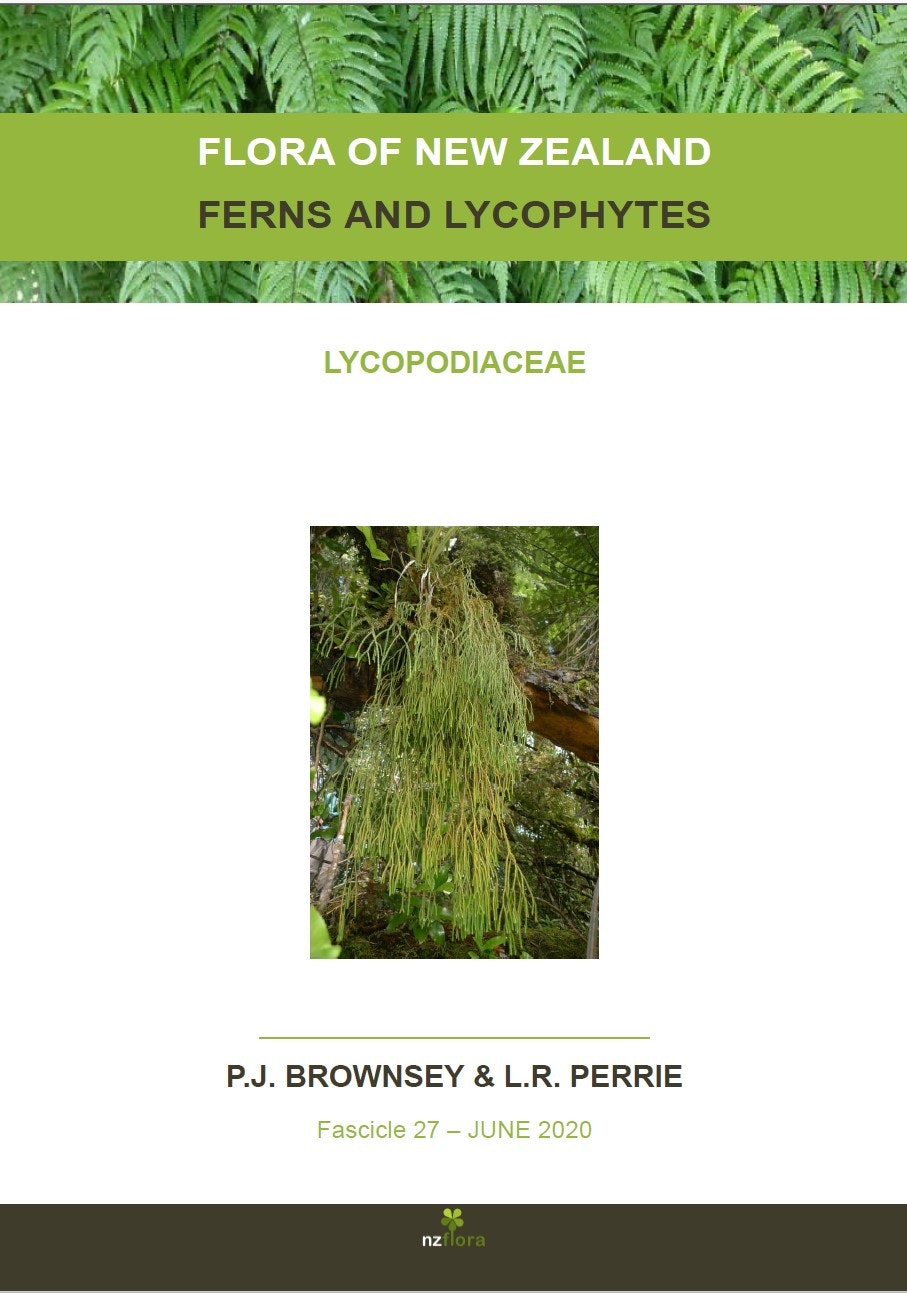 Cover of a journal about ferns