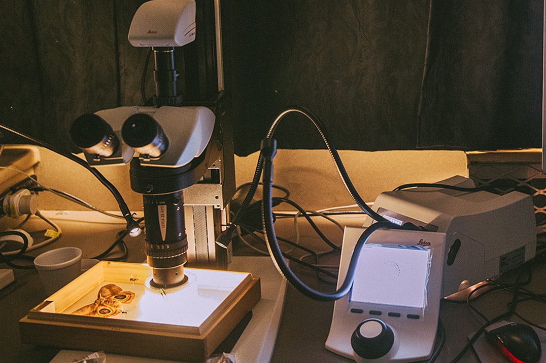 A photo of a macroscope in a dark room