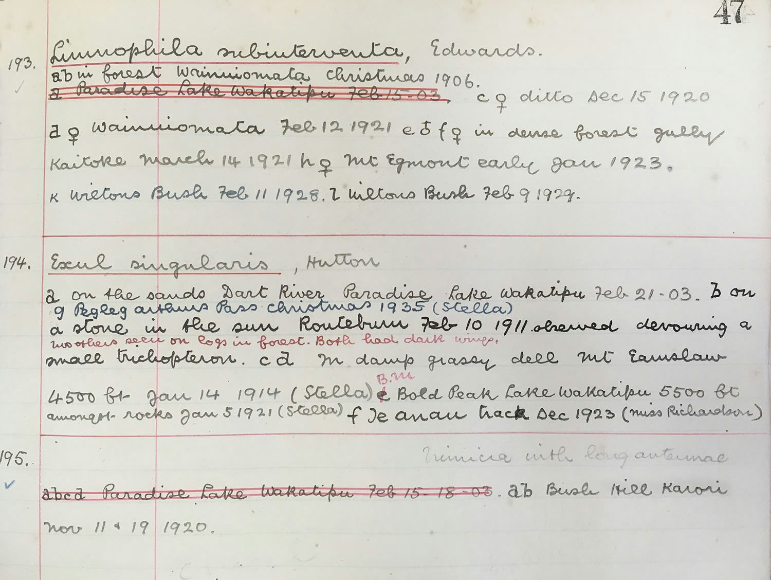 A photocopied page of handwriting in red and black ink
