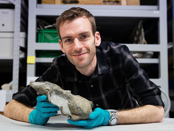 Te Papa marine mammal curator Dr Felix Marx with the skull of Eomonachus belegaerensis. Photo by Jack Fisher. Te Papa A smiling Felix Marx holds a seal skull in his hand