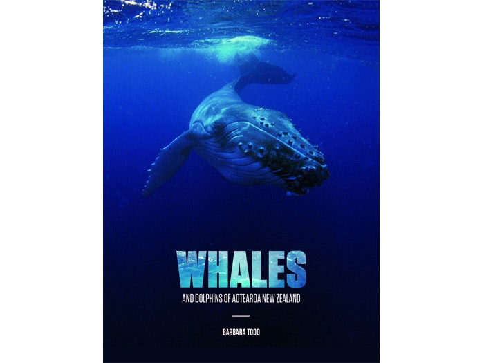 Whales and Dolphins of Aotearoa New Zealand - book cover