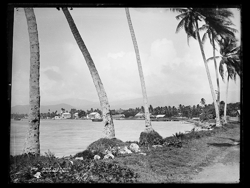 A black and white photo of a Pacific island beach with palm trees