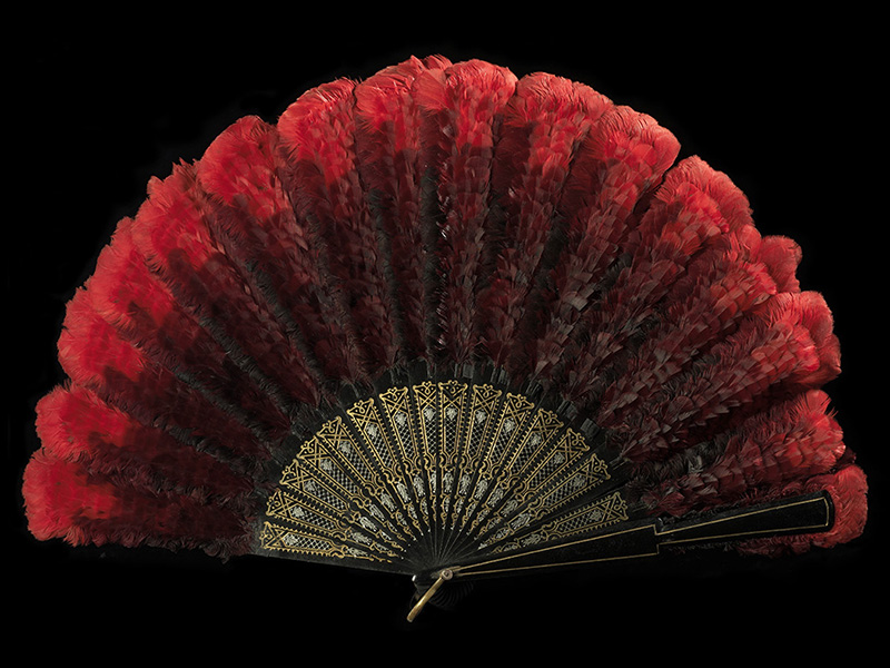 A bright red feather