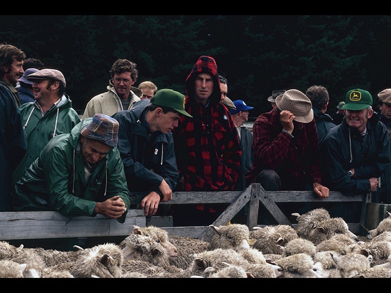 Men standing in wet weather gear with a pen of sheep in front of them