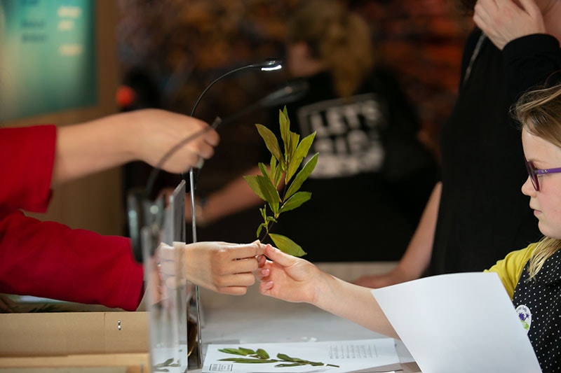 A girl looks at a plant being given to her