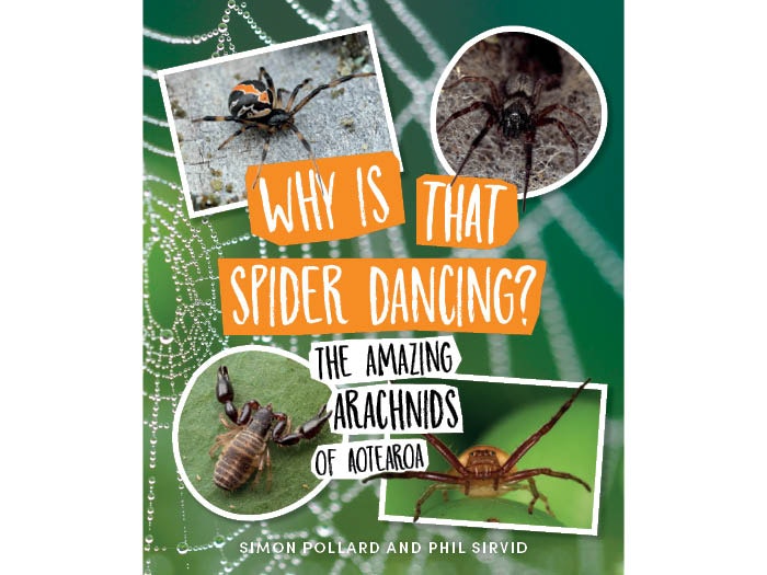 Why is that spider dancing?