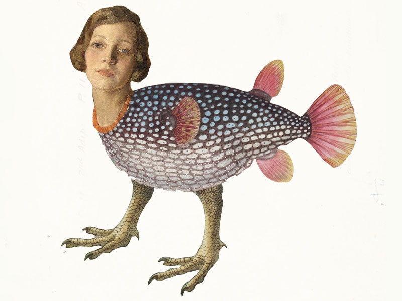 An image made up of three separate images, of a fish body with bird legs and a woman’s head
