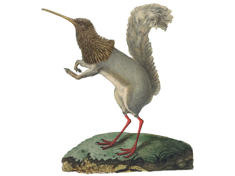 surreal-activities-banner-800x600.jpeg surreal-activities-banner-800x600.jpeg