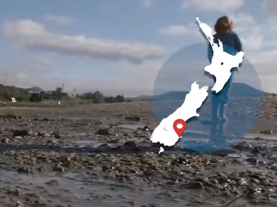 A photo of a beach with a map of New Zealand overlayed on it