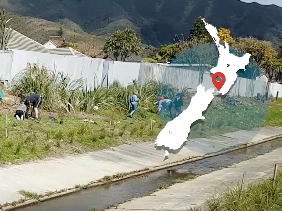 People planting plants along a small waterway with houses in the background and a map of New Zealand overlaid on the right-hand side