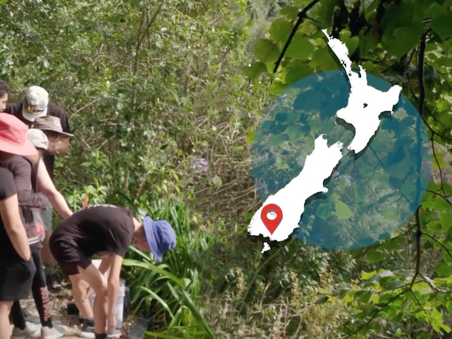 Children bending over a bucket in the bush, there's a map of New Zealand overlaid in the top right-hand corner