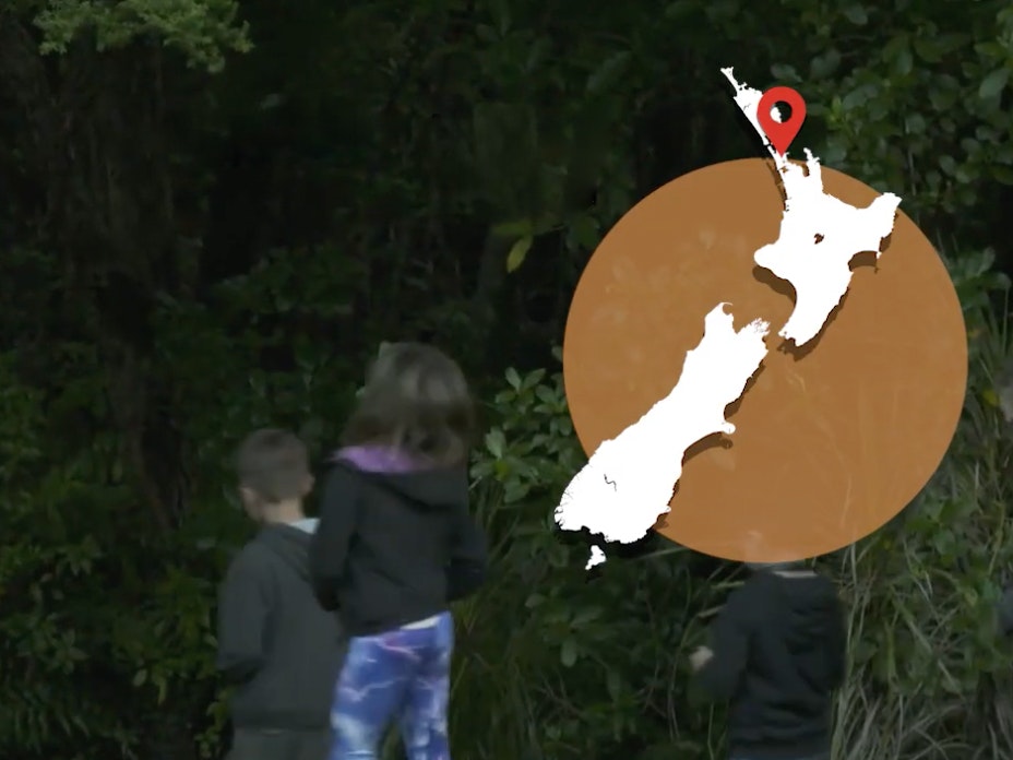 Children walking on a tree-lined path. There's a map of New Zealand overlaid on the image on the top right-hand side.