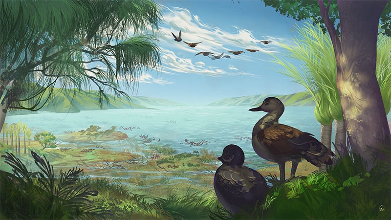 Illustration depicting two ducks on a shoreline, with a group of ducks flying above
