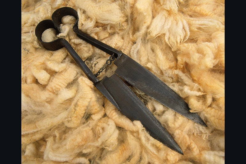 A pair of shears lying on sheep's wool