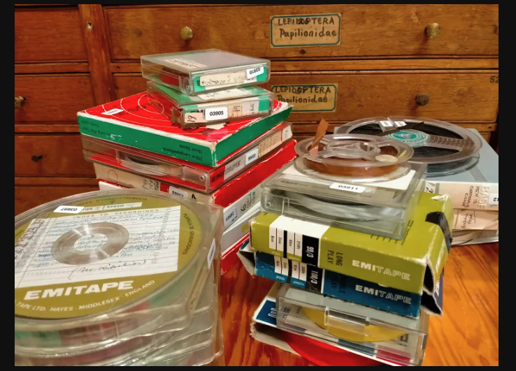 Boxes of audio tapes to be digitised