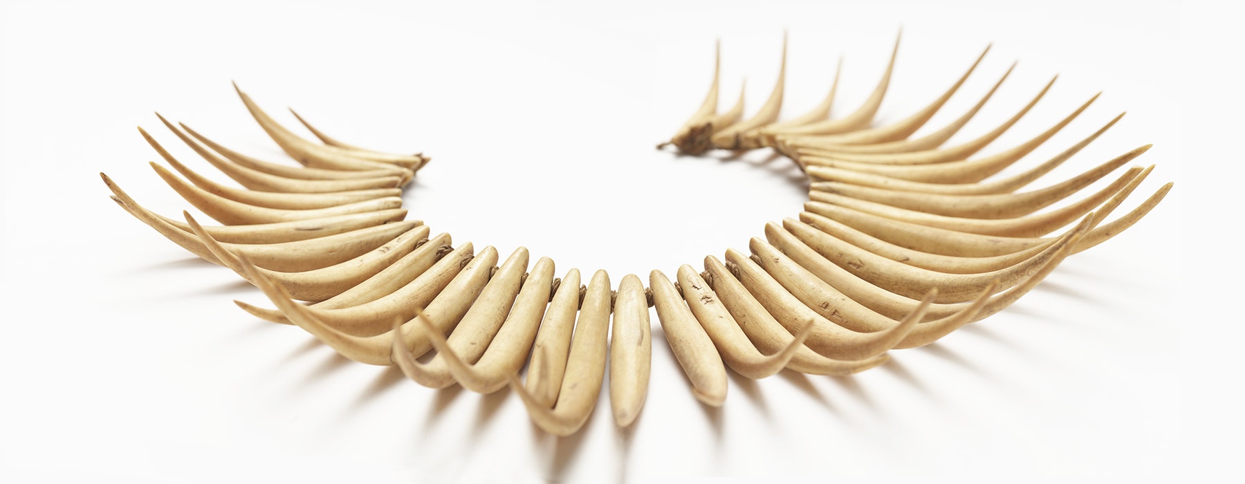 A necklace made of long curved bone sitting on a white surface