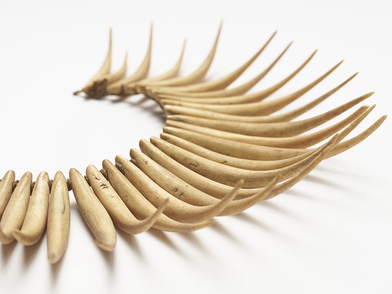 A part of a necklace made of long curved bone sitting on a white surface