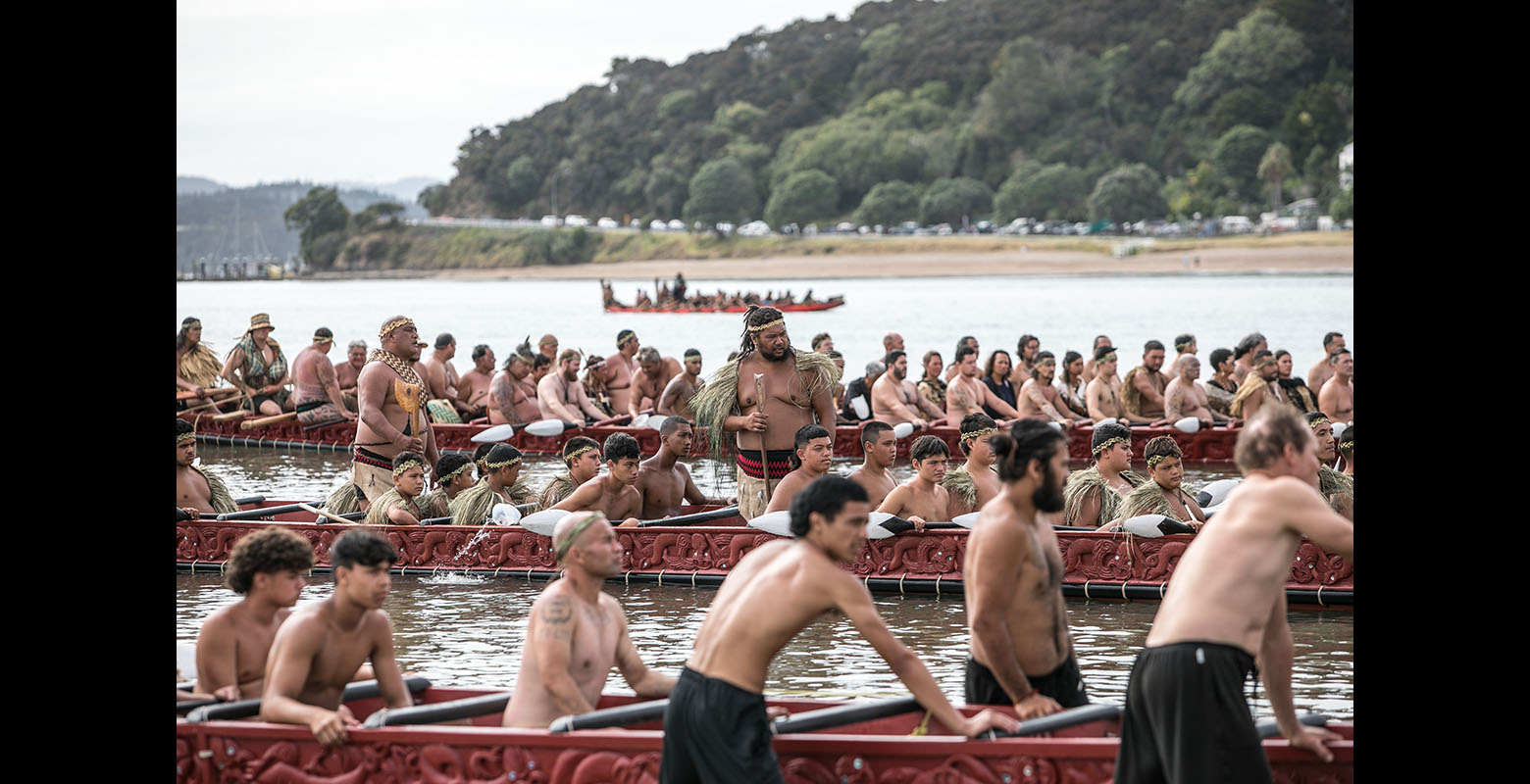 A number of waka assembling in a bay