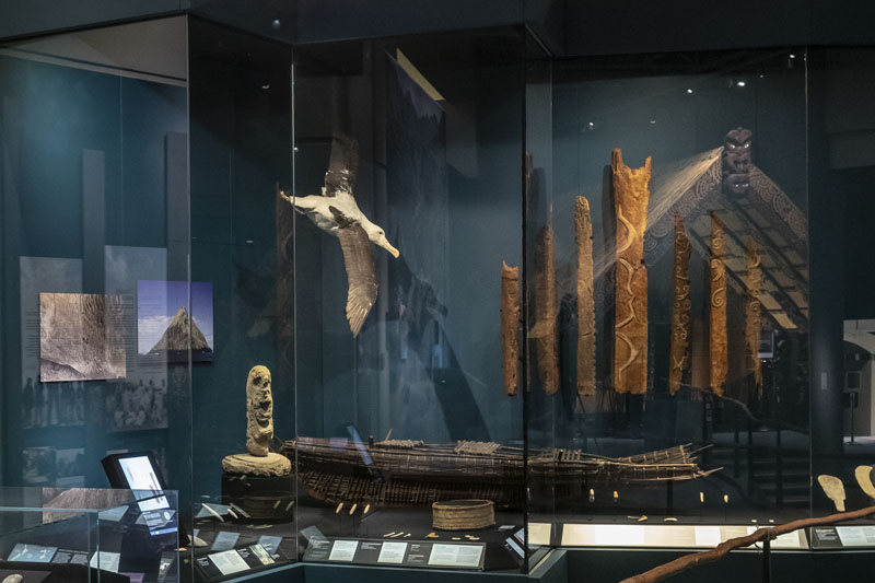 Display case showing a taxidermy seagull suspended from its roof alongside a number of carved pou, wooden poles